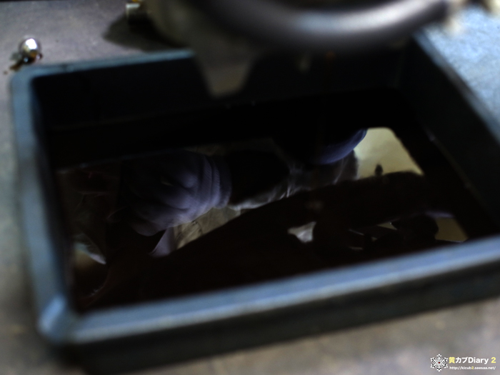 1_20111001oil.jpg