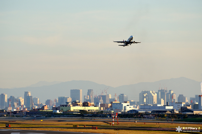 1_itamiairport.jpg