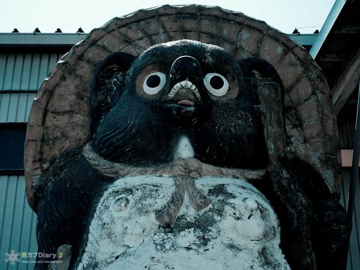1_saedotanuki.jpg