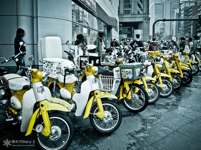 20111106-R0020645.jpg