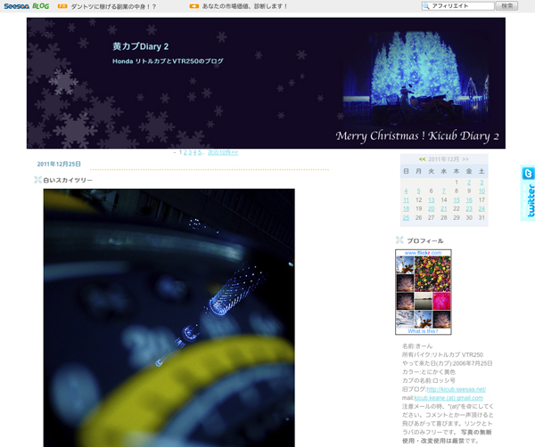 2011chrismas.jpg