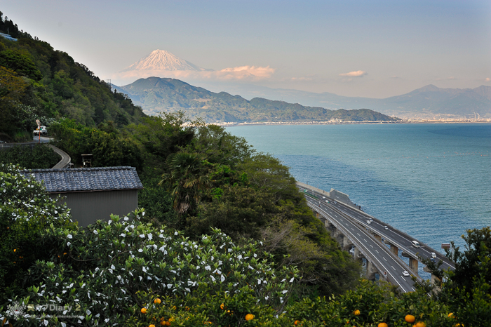 20130413-_20130413-1639.jpg