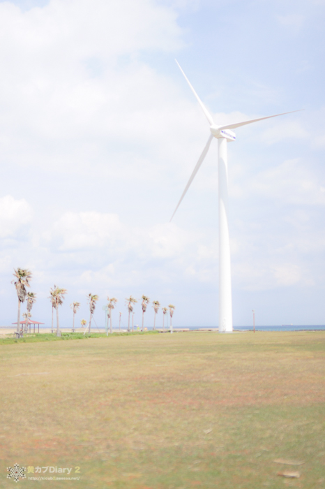 20130414-_20130414-1139.jpg