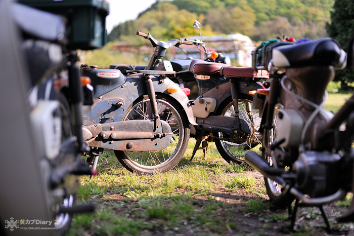20130505-_20130505-1605.jpg