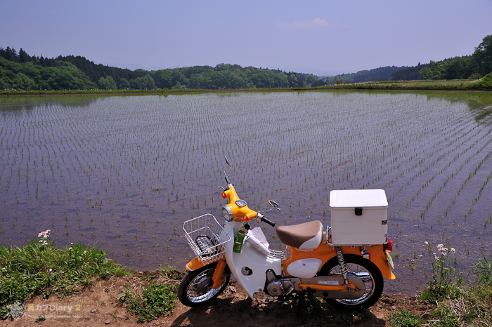 20130518-_20130518-1144.jpg