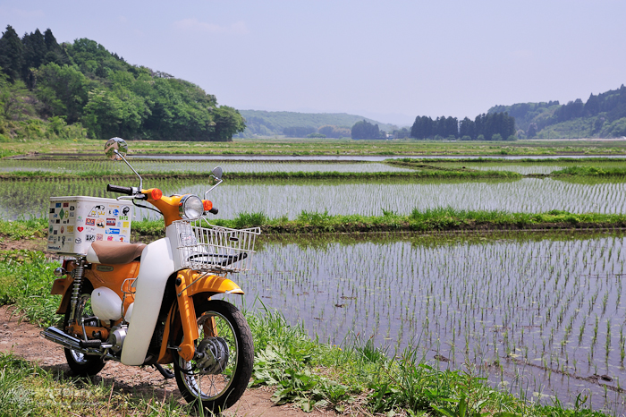 20130518-_20130518-1157.jpg