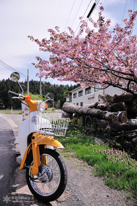 20130518-_20130518-1425.jpg