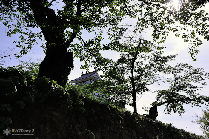20130518-_20130518-1548.jpg