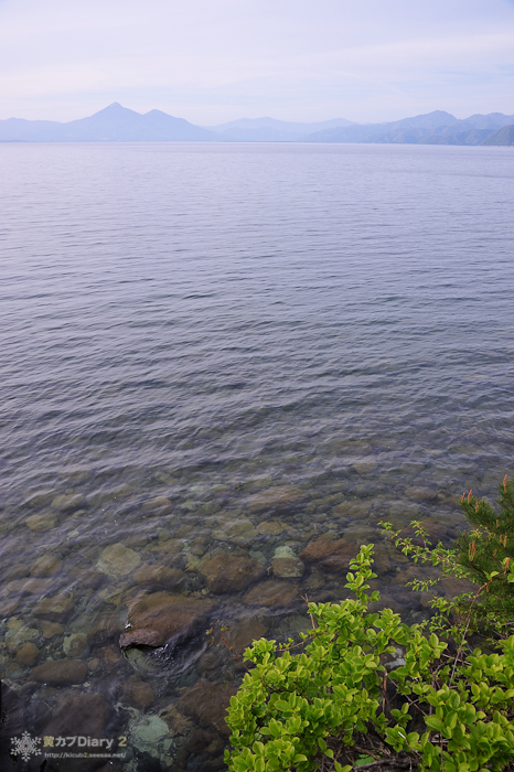 20130518-_20130518-1715_1.jpg