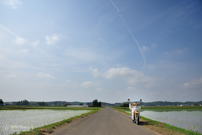 20130519-_20130519-0856.jpg