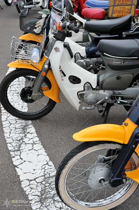 20130519-_20130519-1255.jpg