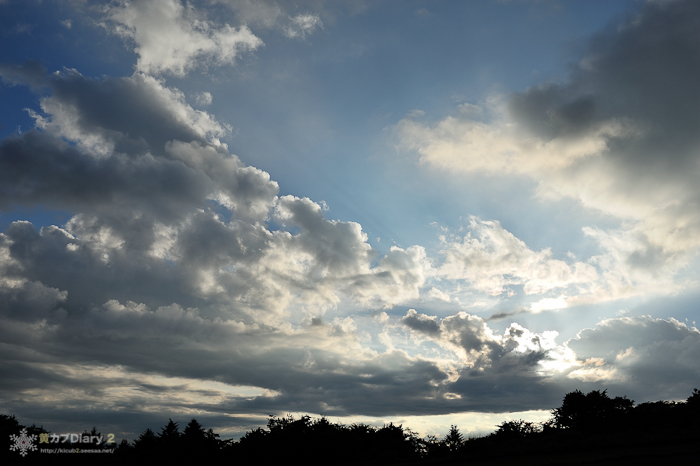 20130803-_20130803-1807.jpg