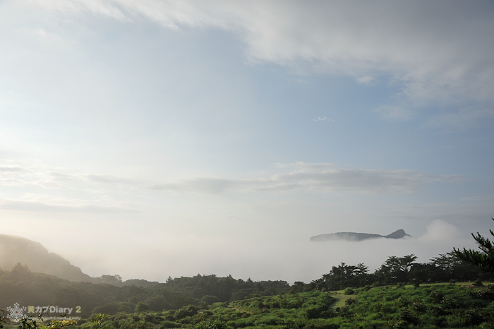 20130804-_20130804-0616.jpg