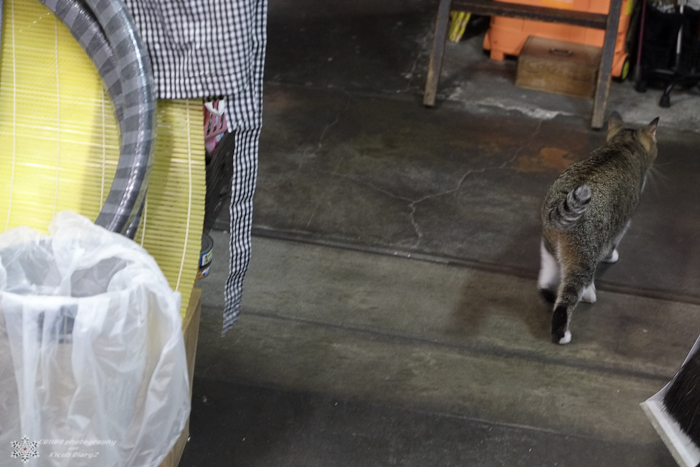 20130902-DSCF0290.jpg