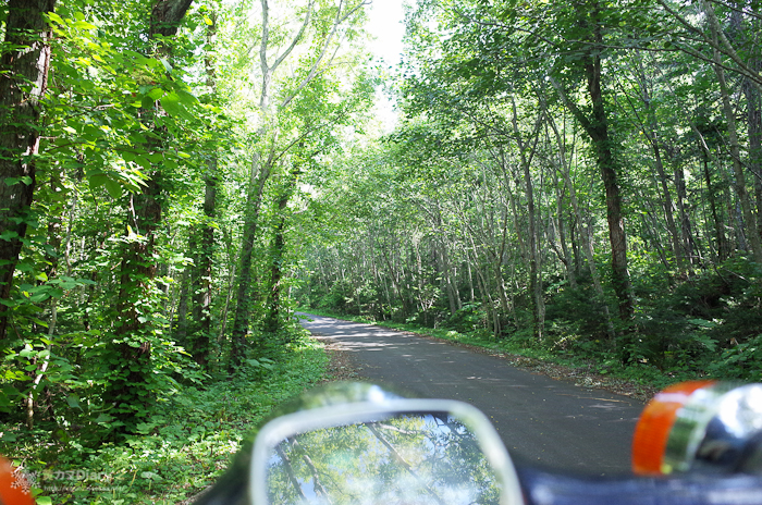 20130910-M0001425.jpg