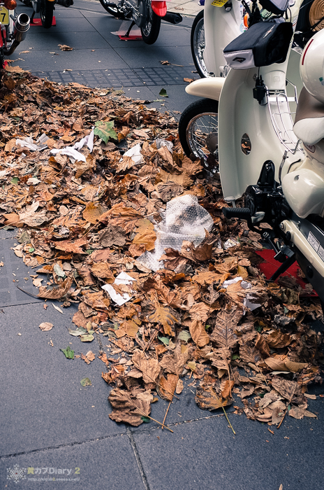 20131110-M0003610.jpg