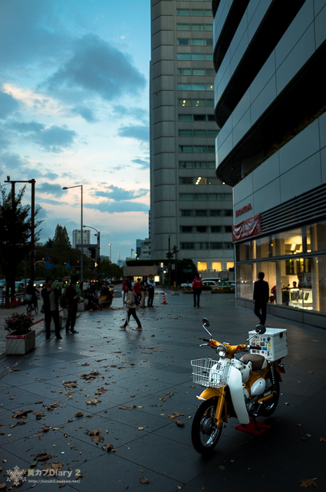 20131110-M0003615.jpg