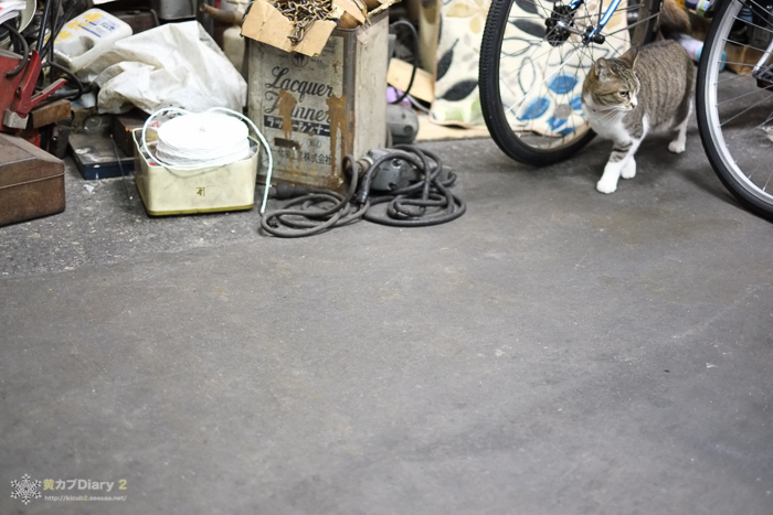 20131130-DSCF2203.jpg