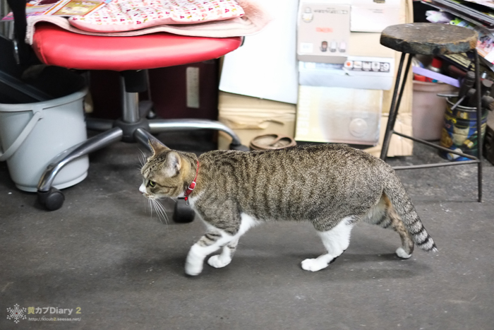 20131130-DSCF2204.jpg