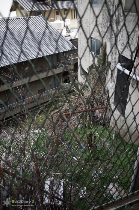 20140215-M0007049.jpg