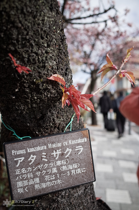 20140215-M0007061.jpg