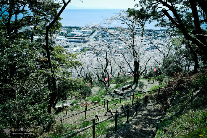 20140407-DSCF4775.jpg