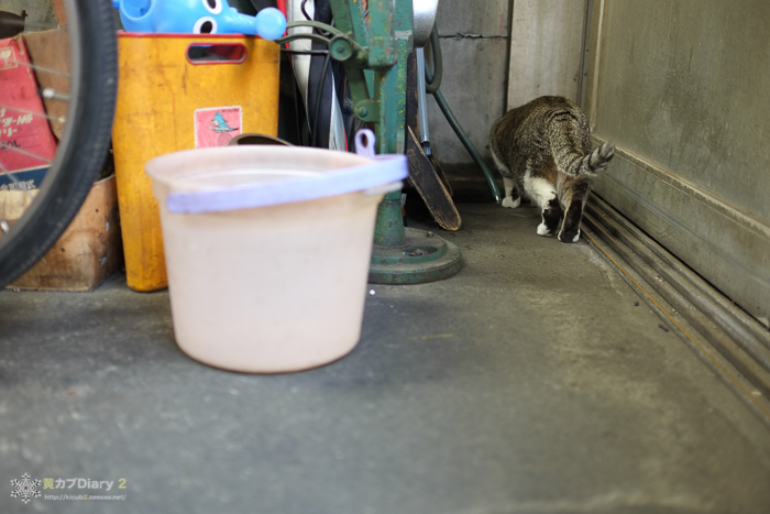 20140415-DSCF4982.jpg