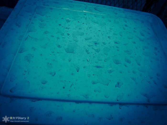 20140509-R0016327.jpg