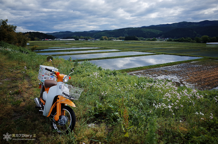 20140518-M0007691.jpg