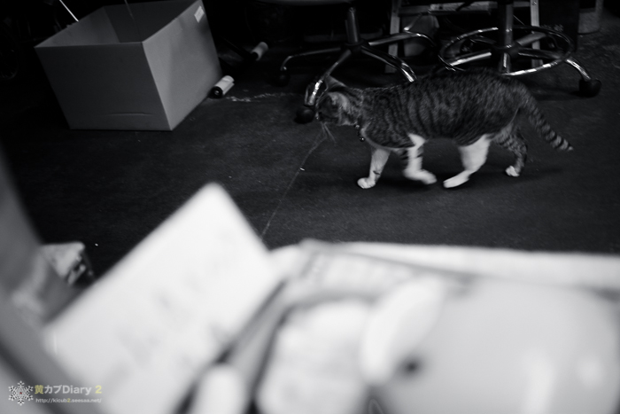 20140523-_DSF5369.jpg