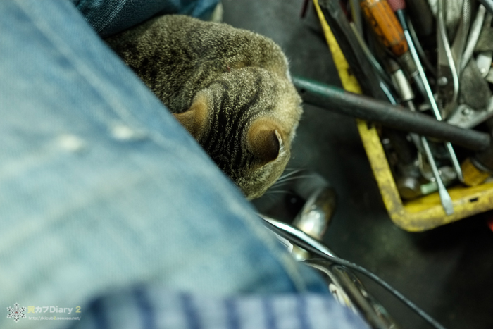 20140609-_DSF5683.jpg