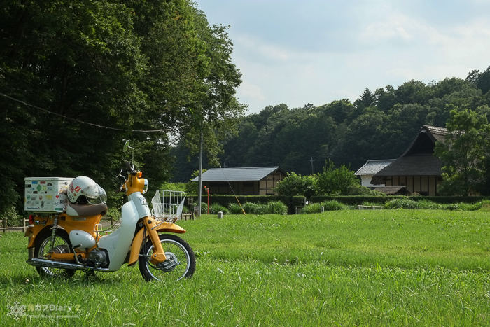 20140715-littlecub_satoyama.jpg