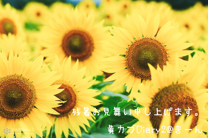 20140816-DSCF6165-Edit2shochu.jpg