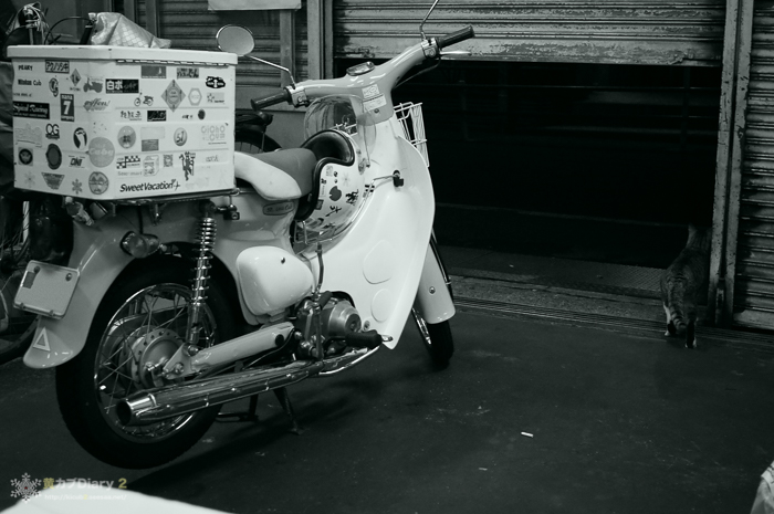 20140906-M0009880-cub.jpg