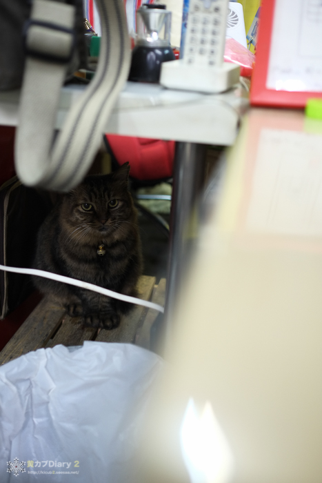 20141005-DSCF7559.jpg