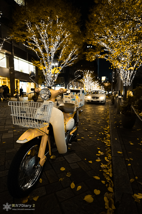20141123-cub.jpg