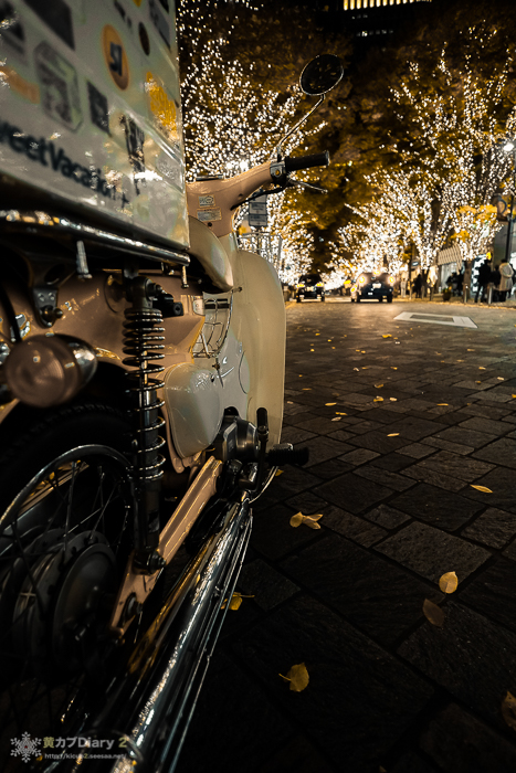 20141123-littlecub.jpg