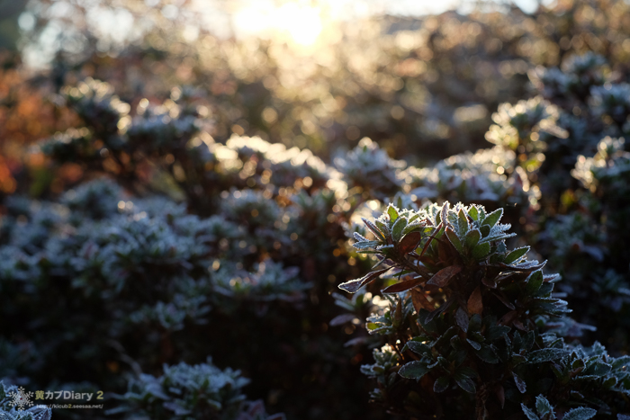 20141207-DSCF0167.jpg