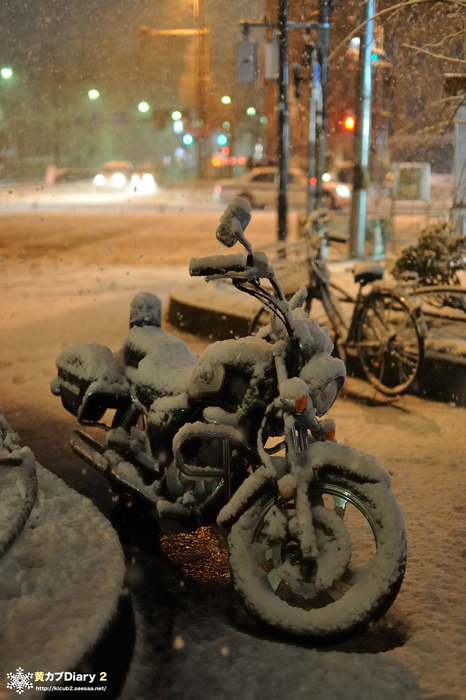 2_DSCsnow.jpg