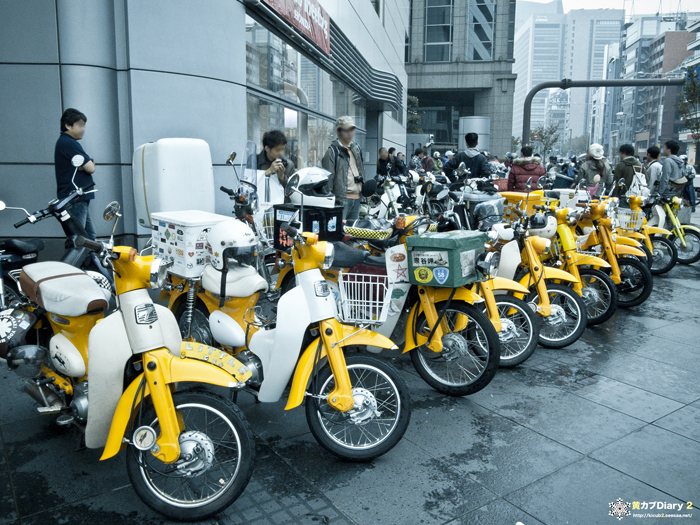 2_cafecubmeetingaoyama2011.jpg