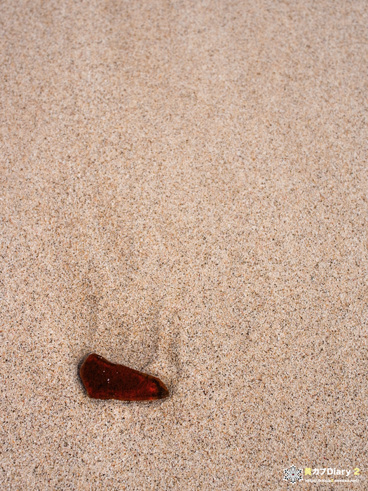 3_beachgrassbeer.jpg