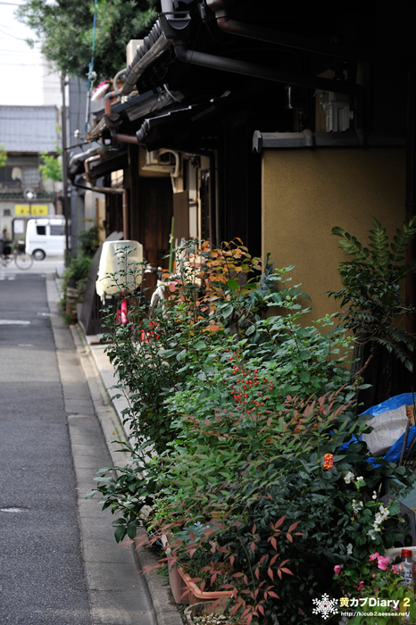 3_kyotocity7.jpg