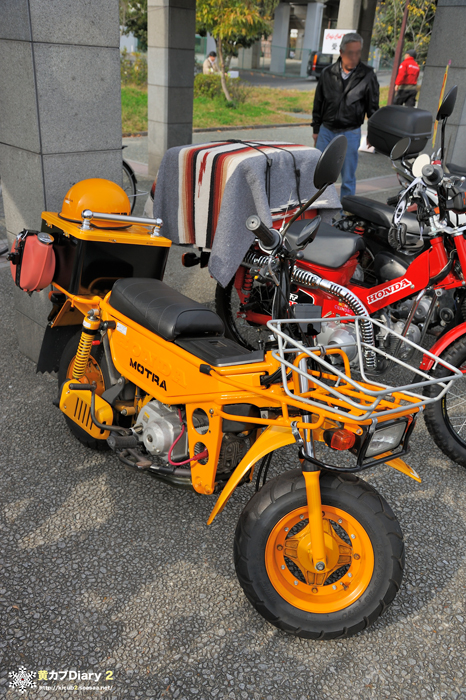 4_yellow_motra.jpg