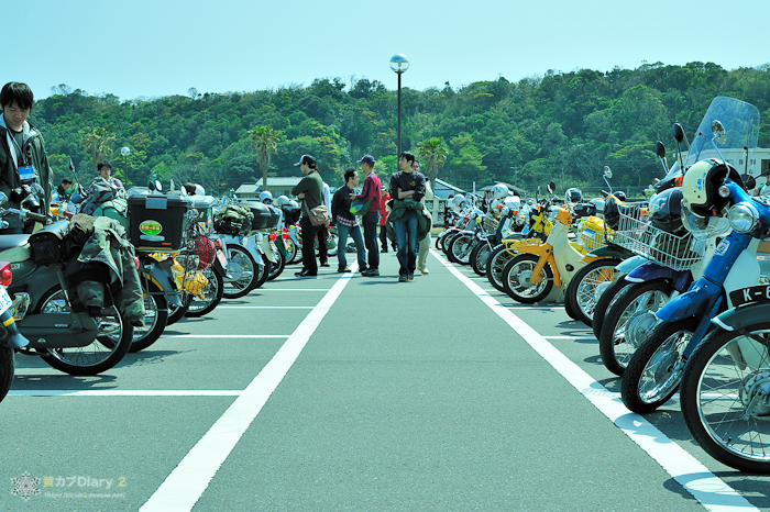 5_scm2_2010.jpg