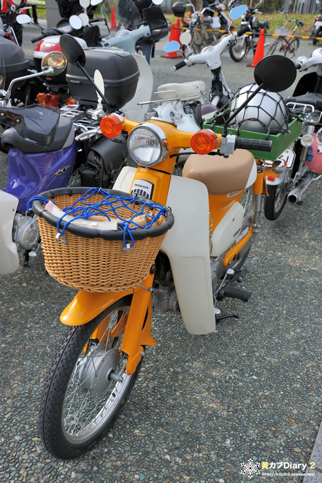 7_yellow_streetcub.jpg