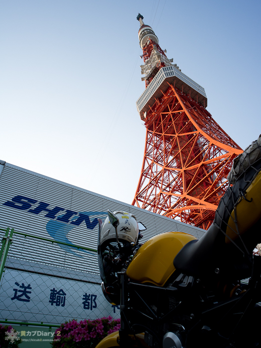 8_tokyotowerswh.jpg