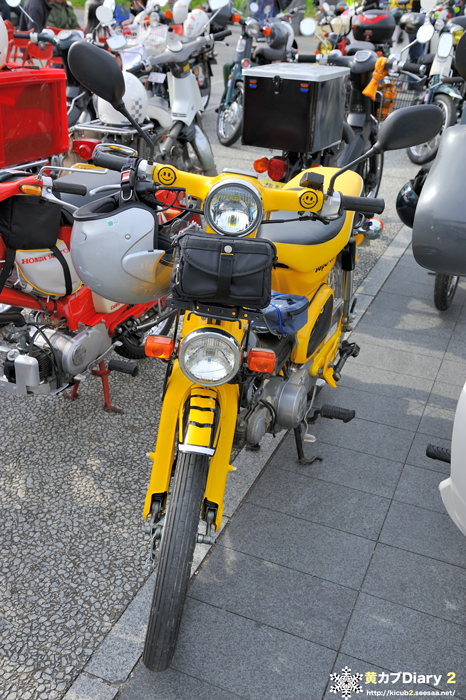 8_yellowsmilecub.jpg