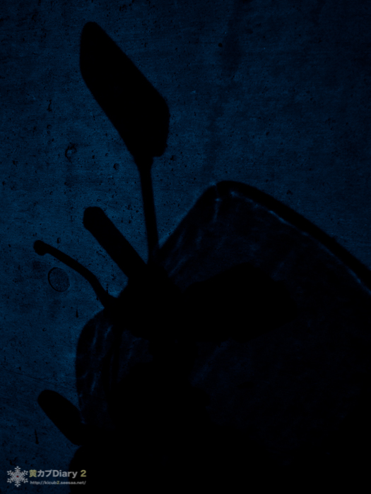 R0013139.jpg