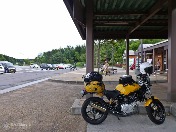cub-1010588.jpg