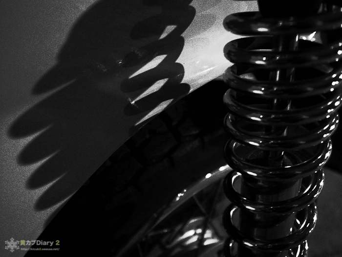 rearsus_shadow.jpg